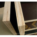 made in China melamine  plywood  block board commercial plywood film faced furniture cabinet